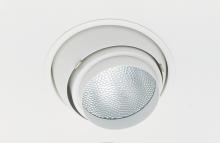 Nora NMRT-12628SS - NMR 2L PAR30 EYE SILVER TRIM