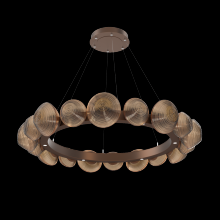 Hammerton CHB0089-48-BB-B-CA1-L3 - Mesa Radial Ring - 48-Inch