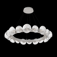 Hammerton CHB0089-48-BS-C-CA1-L3 - Mesa Radial Ring - 48-Inch