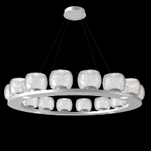 Hammerton CHB0091-0D-CS-C-CA1-L1 - Vessel Ring - 48-Inch