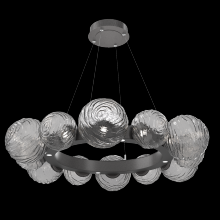 Hammerton CHB0092-39-GP-S-CA1-L1 - Gaia Radial Ring - 39-Inch