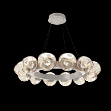 Hammerton CHB0095-36-BS-FA-CA1-L1 - Luna Radial Ring - 36-Inch
