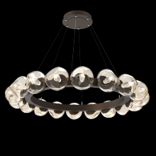 Hammerton CHB0095-48-FB-GA-CA1-L1 - Luna Radial Ring - 48-Inch