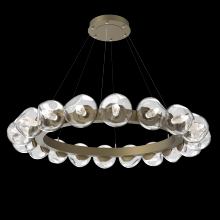 Hammerton CHB0095-48-GB-GC-CA1-L1 - Luna Radial Ring - 48-Inch