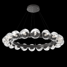 Hammerton CHB0095-48-GP-GC-CA1-L1 - Luna Radial Ring - 48-Inch