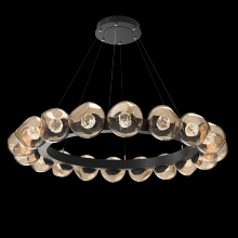 Hammerton CHB0095-48-MB-FB-CA1-L1 - Luna Radial Ring - 48-Inch