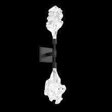 Hammerton IDB0059-02-GB-BC-L1 - Blossom Double Sconce