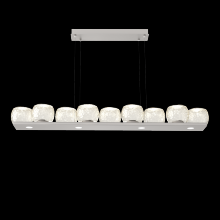 Hammerton PLB0091-0C-BS-A-CA1-L3 - Vessel Linear - 59-Inch