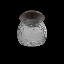 Hammerton SMB0091-01-FB-S-L1 - Single Glass Sconce & Flush Mount - Vessel
