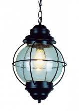 Trans Globe 69903 RBZ - Catalina 13.5" Hanging Lantern Light